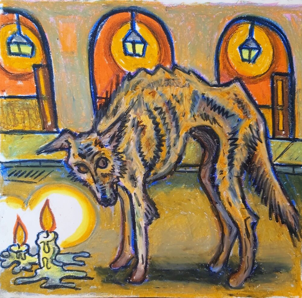 Cão Vadio